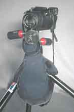 �O�r�ɕt�����܂܎B�e���Ă���B�����Ɏ��Ă܂��񂩁A���z�̓�