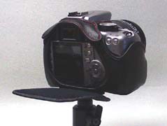 No.577���J������