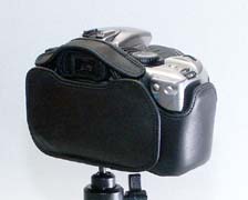 �����Ă��鎞