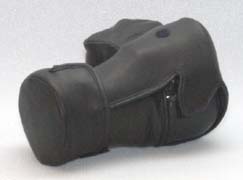 ���C�R���t���̃J�����P�[�X