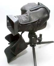 �B�e���o���܂�