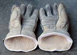 �V�C���i�[�̏��