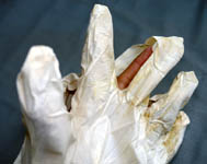 �����h���V�[�g