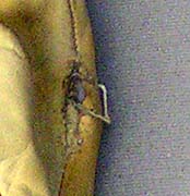 3�̃P�u���[��⋭���܂�