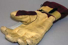 �C����̏��