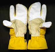 �v�C����